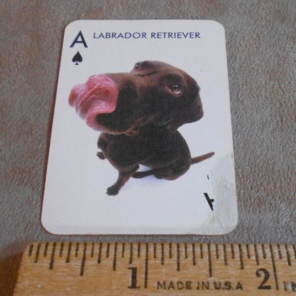 Artlist Collection The Dog Mini Playing Cards Incomplete Great for Crafts - Picture 8 of 8